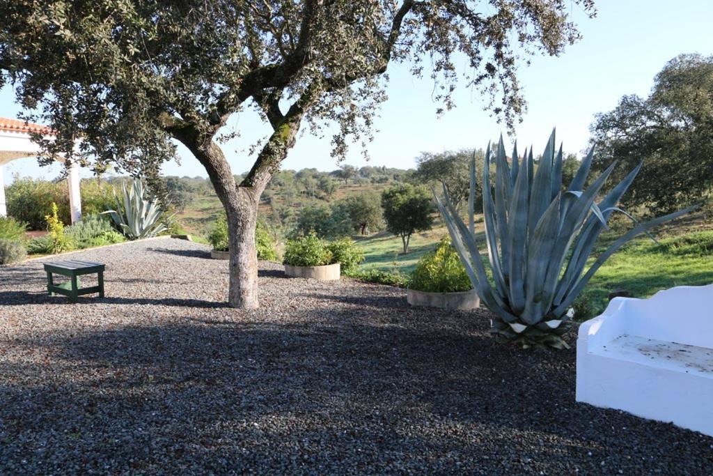 Апартаменты Monte Novo Da Sobreira, Rust En Ruimte In Zuid Alentejo Орике Экстерьер фото